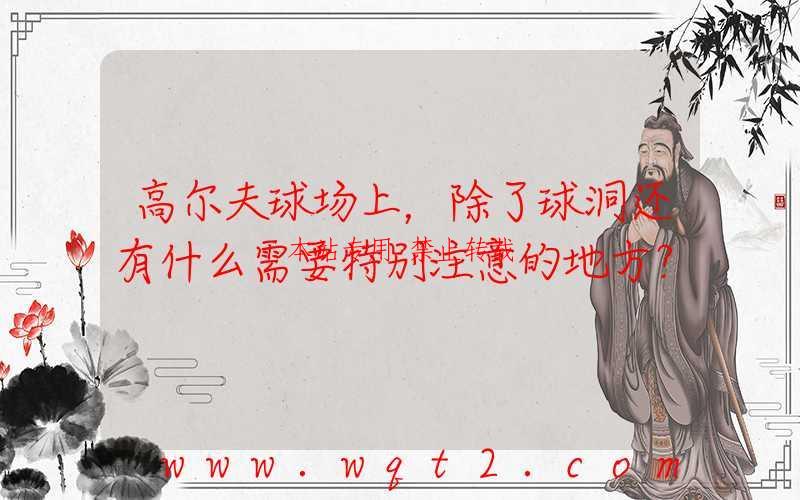 高尔夫球场上,除了球洞还有什么需要特别注意的地方?