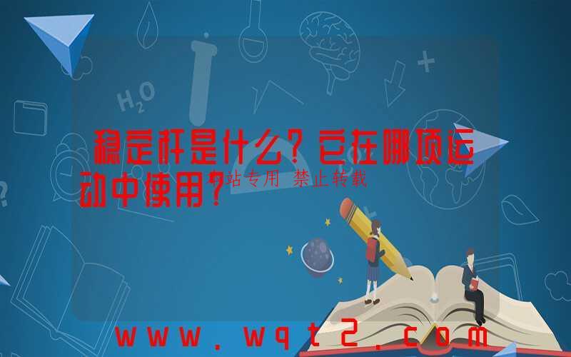 稳定杆是什么?它在哪项运动中使用?